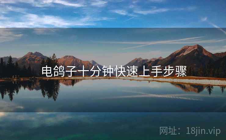 电鸽子十分钟快速上手步骤 电鸽子十分钟快速上手步骤