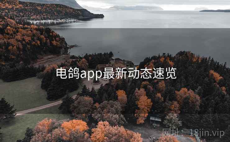 电鸽app最新动态速览