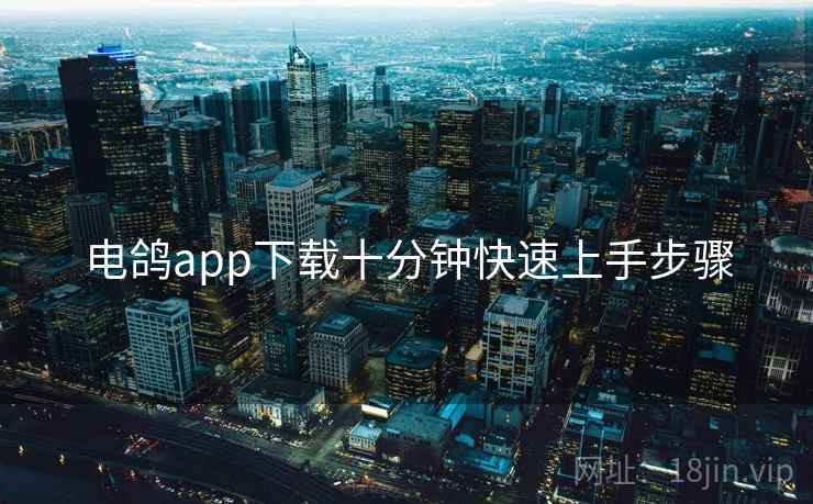 电鸽app下载十分钟快速上手步骤